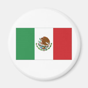 Mexico National Flag Magnet