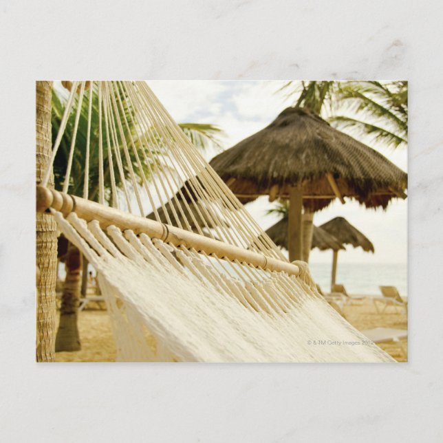 Mexico, Playa Del Carmen, hammock on beach Postcard (Front)