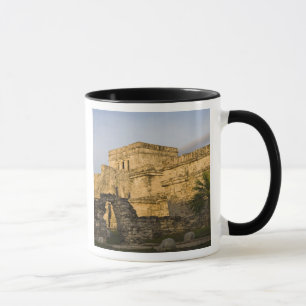 Mexico, Quintana Roo, Yucatan Peninsula, Mug