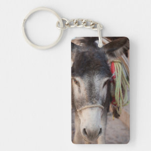 Mexico, San Miguel De Allende 2 Keychain