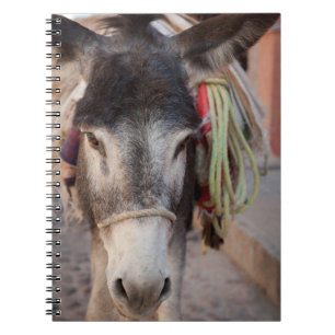 Mexico, San Miguel De Allende 2 Notebook