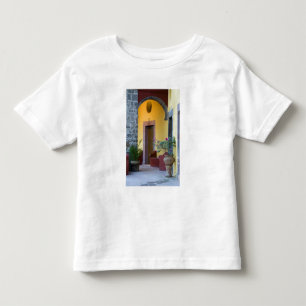 Mexico, San Miguel de Allende, Archway entrance Toddler T-shirt
