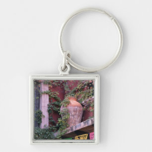 Mexico, San Miguel de Allende, Ivy, clay pot, Keychain