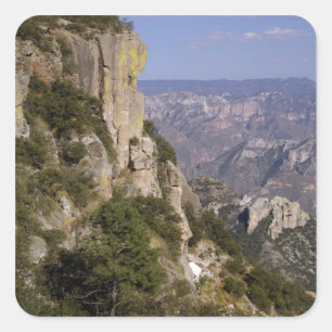 Mexico, State of Chihuahua, Copper Canyon. THIS 2 Square Sticker