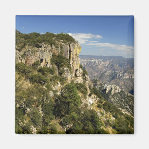 Mexico, State of Chihuahua, Copper Canyon. THIS Magnet