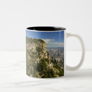Mexico, State of Chihuahua, Copper Canyon. THIS Two-Tone Coffee Mug