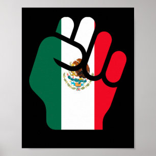 Mexico United Resist Viva Mexico Unido Resiste 202 Poster