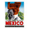 Mexico Vintage Travel Poster Restored
