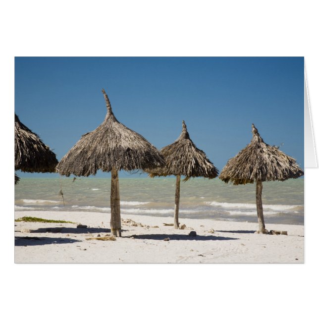 Mexico, Yucatan Peninsula, Progreso. Thatch (Front Horizontal)