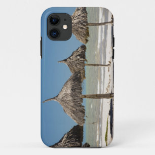 Mexico, Yucatan Peninsula, Progreso. Thatch iPhone 11 Case