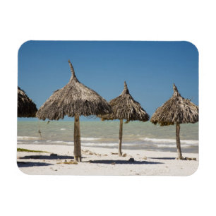 Mexico, Yucatan Peninsula, Progreso. Thatch Magnet