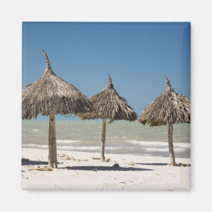 Mexico, Yucatan Peninsula, Progreso. Thatch Magnet