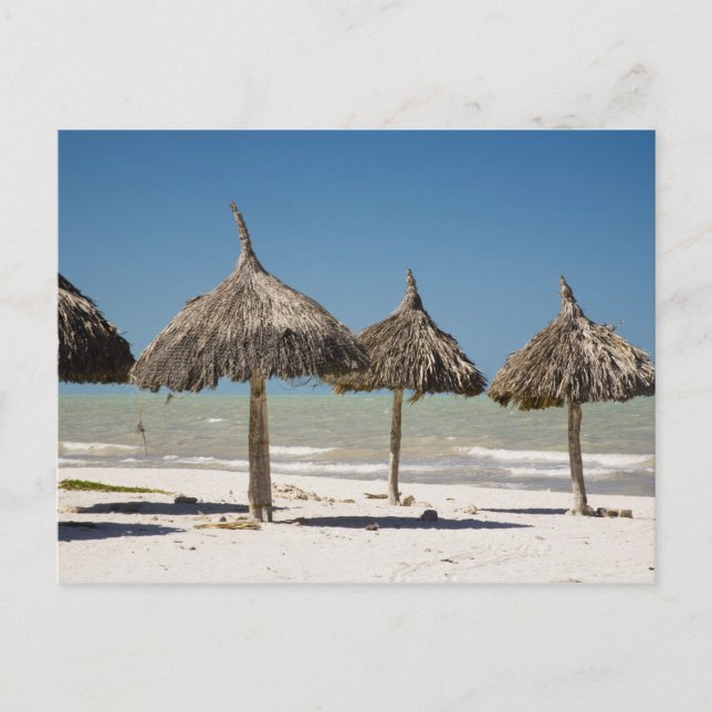 Mexico, Yucatan Peninsula, Progreso. Thatch Postcard (Front)