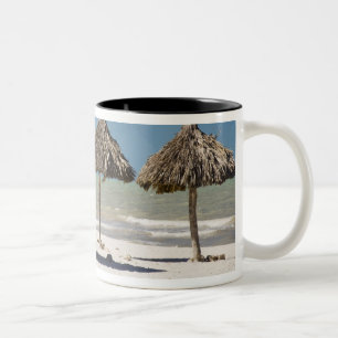 Mexico, Yucatan Peninsula, Progreso. Thatch Two-Tone Coffee Mug