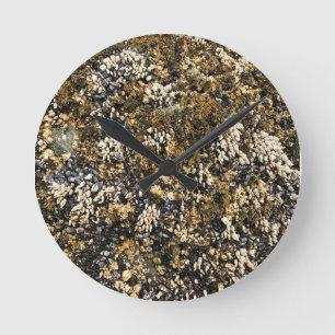 Meyers Beach North, Gold Beach, Oregon Round Clock