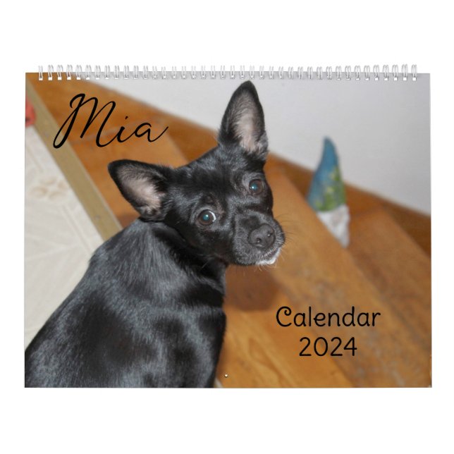 Mia Chihuahua Dog 2024 Calendar (Cover)