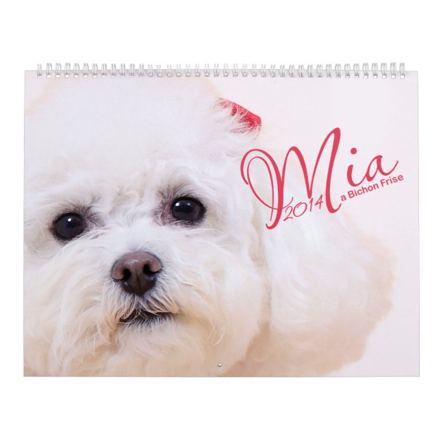 Mia - un calendrier de Bichon Frise 2014 (Protection)