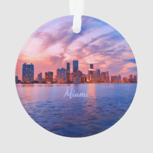 Miami Beach Florida City Skyline