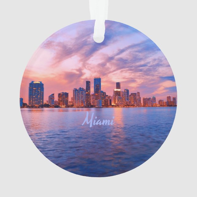 Miami Beach Florida City Skyline (dos)