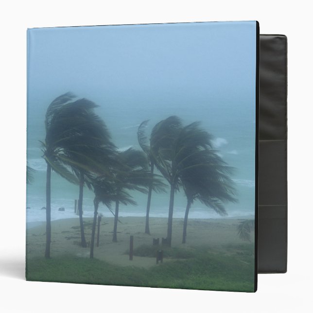 Miami Beach, Florida, hurricane winds lashing Binder (Front/Inside)