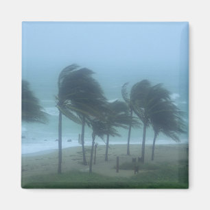 Miami Beach, Florida, hurricane winds lashing Magnet