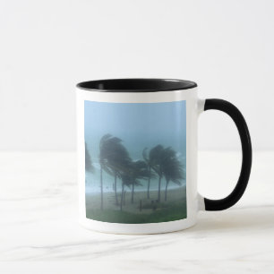 Miami Beach, Florida, hurricane winds lashing Mug