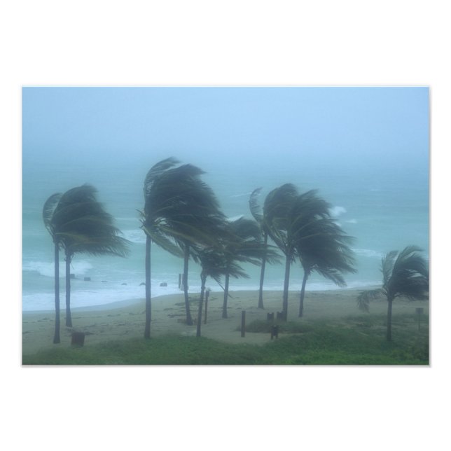 Miami Beach, Florida, hurricane winds lashing Photo Print (Front)