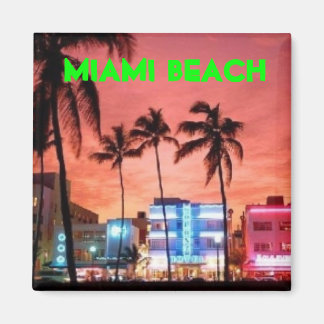 Miami Beach, Florida Magnet