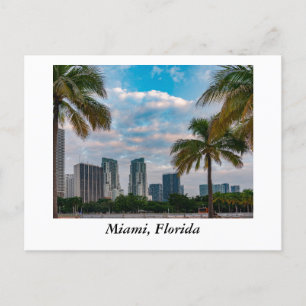 Miami Florida Postcard