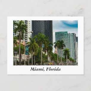 Miami Florida Postcard