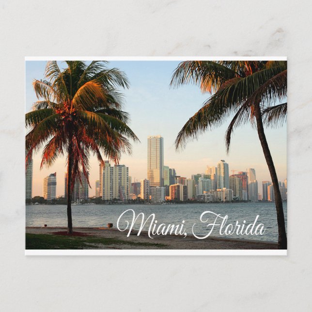 Miami Florida Skyline and Harbour At Night- USA Postcard (Front)