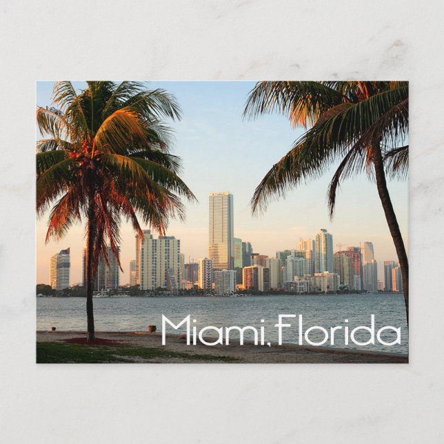 Miami Florida Skyline and Harbour At Night- USA Postcard (Front)