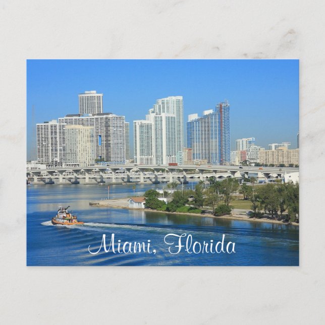Miami Florida Skyline and Harbour Postcard (Front)