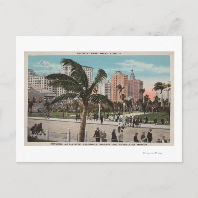 Miami, Florida - View of Bayfront Park & Hotels Postcard (Front)