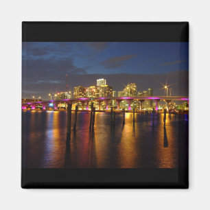 Miami Magnet