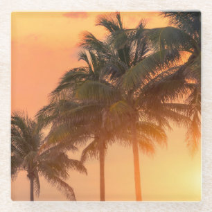 Miami Palms Glass Coaster