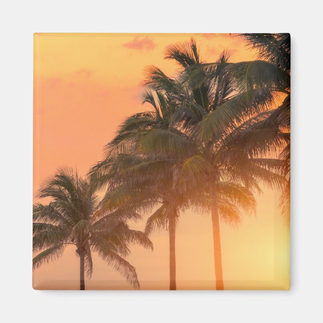 Miami Palms Magnet (Front)