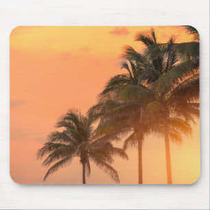Miami Palms Mouse Pad