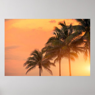 Miami Palms Poster
