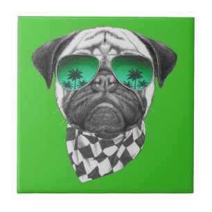 Miami Pug Tile