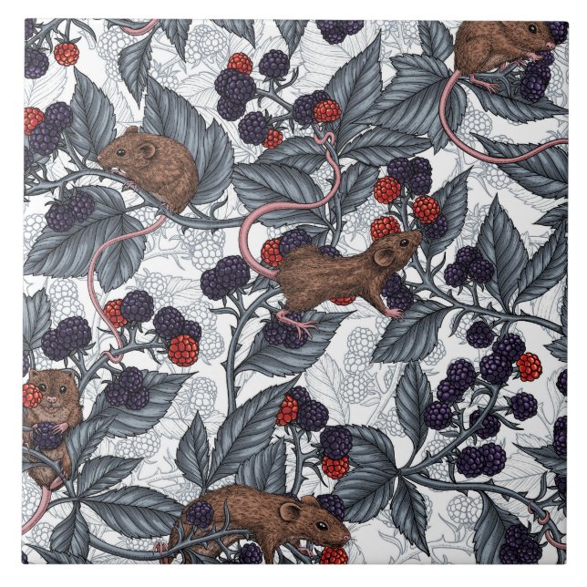 Mice and blackberries on white tile (Front)