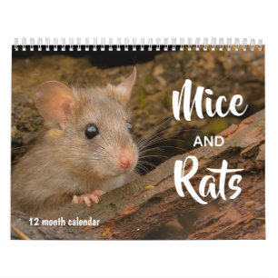 Mice and Rats 2025 Calendar