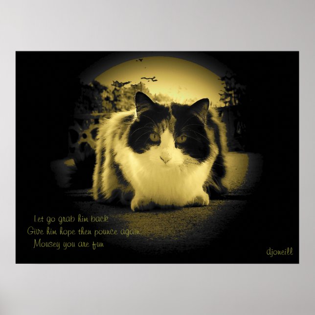Mice Are Fun Peep Hole Kitty Haiku Poster (Front)