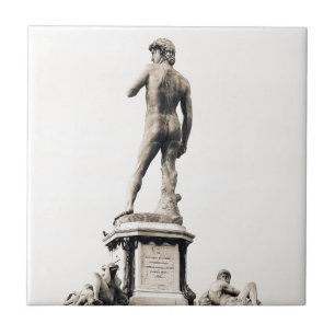 Michelangelo Square Tile