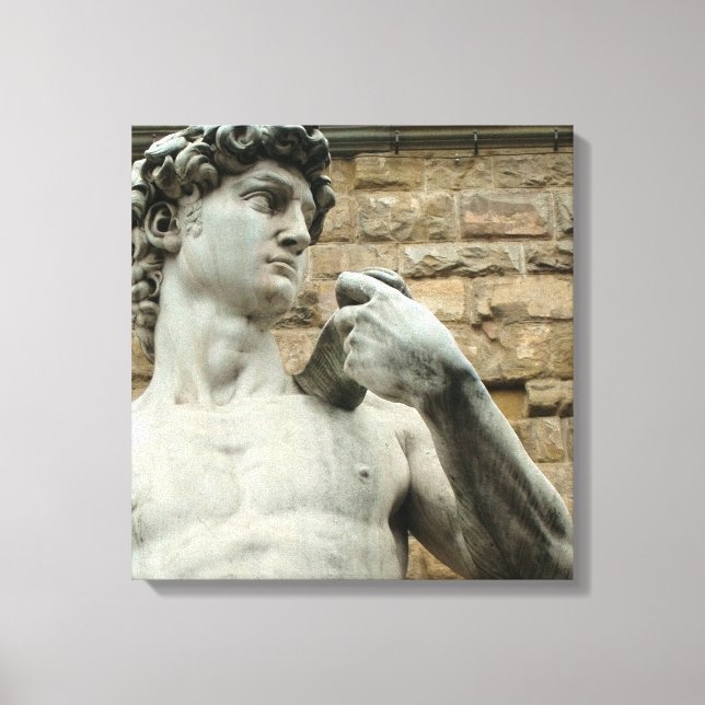 Michelangelo's David 1 Canvas Print (Front)