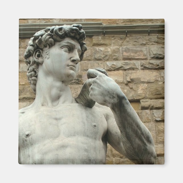 Michelangelo's David 1 Magnet (Front)