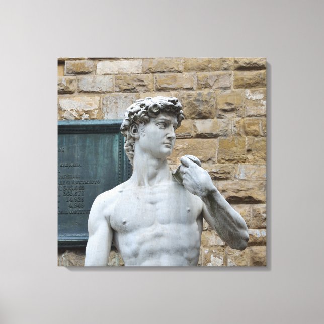 Michelangelo's David Canvas Print (Front)
