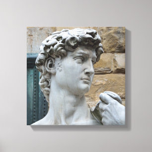 Michelangelo's David Canvas Print