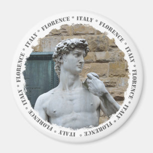 Michelangelo's David Magnet