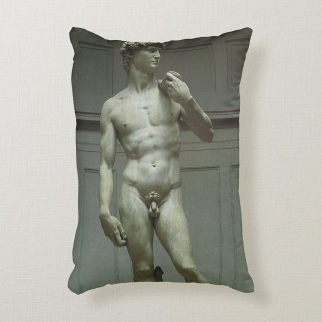 Michelangelo's Statue of David Accent Pillow (Front(Vertical))